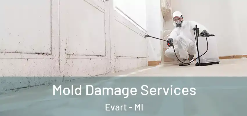  Mold Damage Services Evart - MI