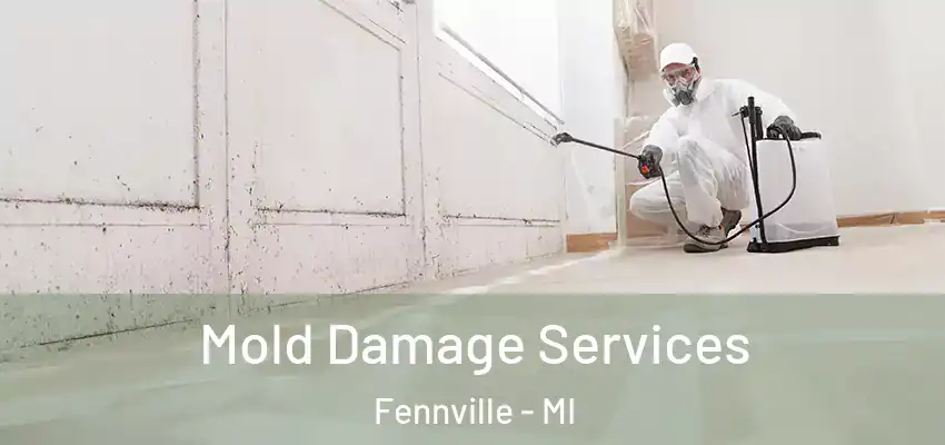  Mold Damage Services Fennville - MI