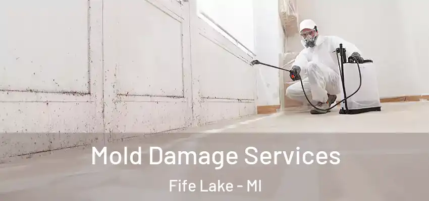  Mold Damage Services Fife Lake - MI