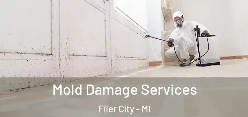  Mold Damage Services Filer City - MI