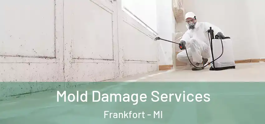 Mold Damage Services Frankfort - MI