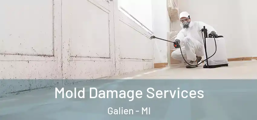  Mold Damage Services Galien - MI