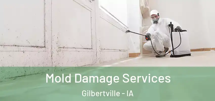  Mold Damage Services Gilbertville - IA