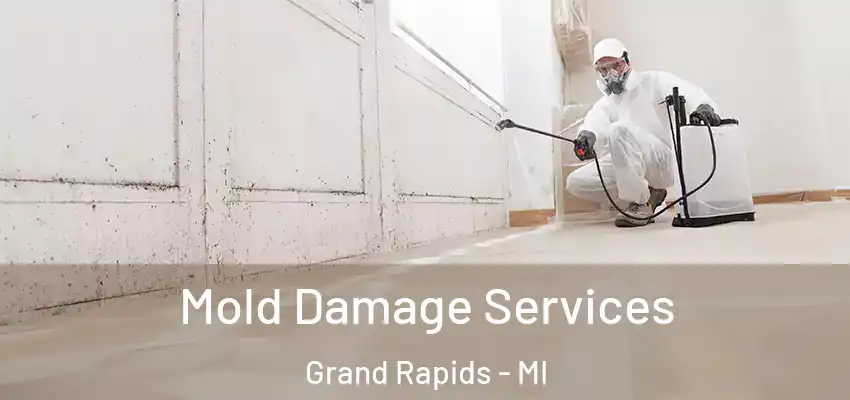 Mold Damage Services Grand Rapids - MI