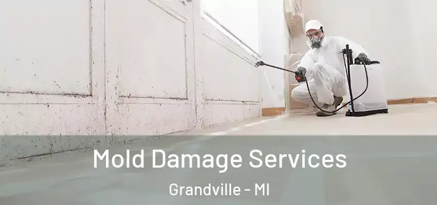  Mold Damage Services Grandville - MI