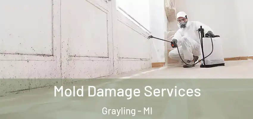  Mold Damage Services Grayling - MI