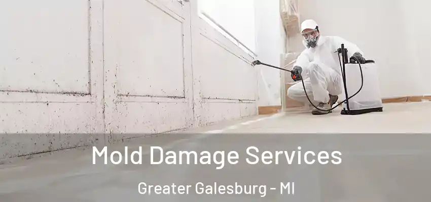 Mold Damage Services Greater Galesburg - MI