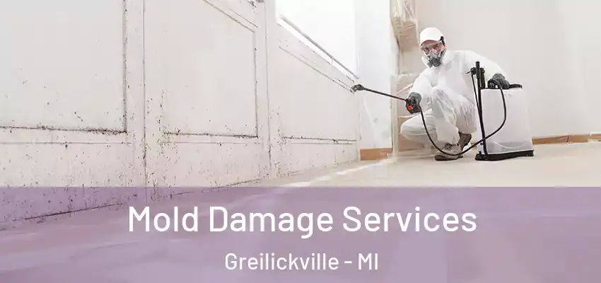 Mold Damage Services Greilickville - MI
