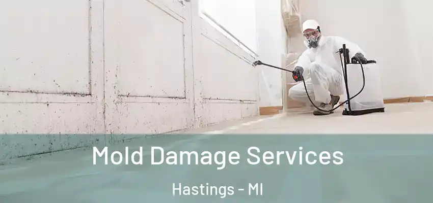 Mold Damage Services Hastings - MI