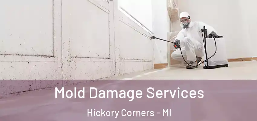 Mold Damage Services Hickory Corners - MI