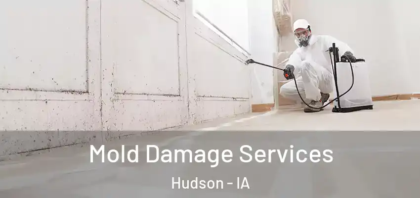 Mold Damage Services Hudson - IA