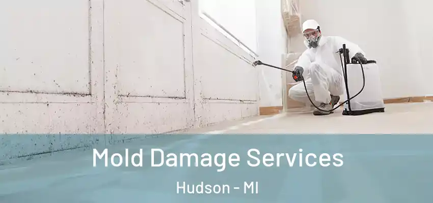  Mold Damage Services Hudson - MI