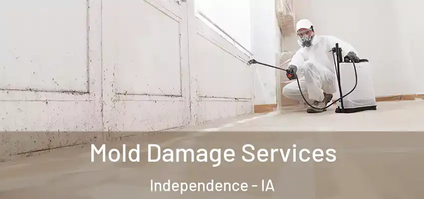  Mold Damage Services Independence - IA