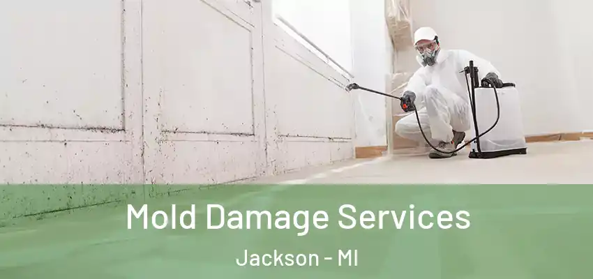  Mold Damage Services Jackson - MI