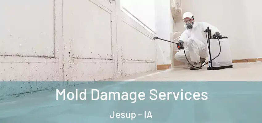 Mold Damage Services Jesup - IA