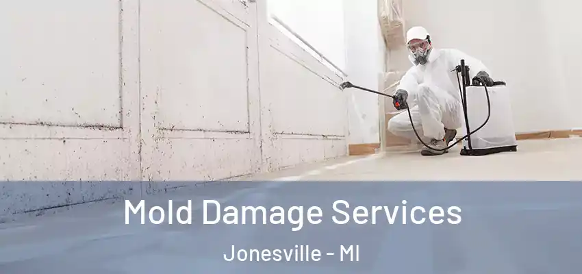  Mold Damage Services Jonesville - MI