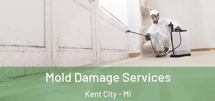 Mold Damage Services Kent City - MI
