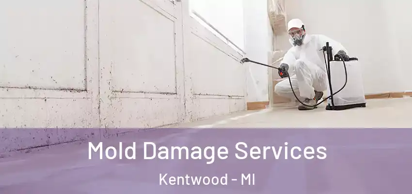 Mold Damage Services Kentwood - MI