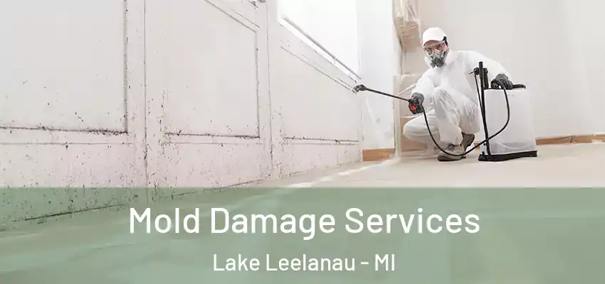  Mold Damage Services Lake Leelanau - MI
