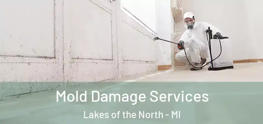  Mold Damage Services Lakes of the North - MI