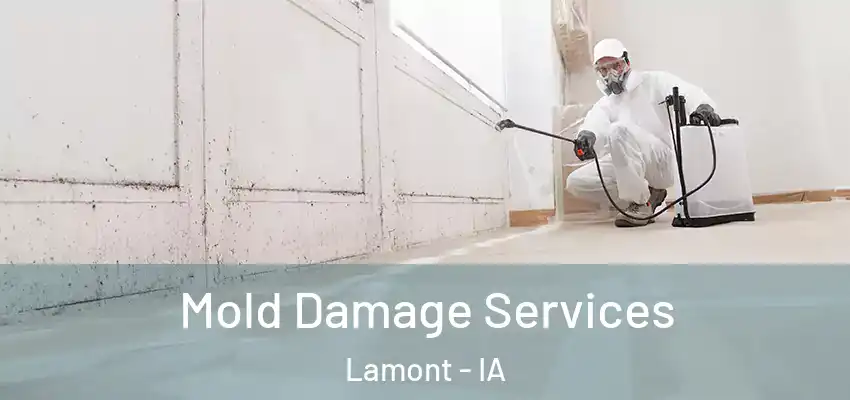  Mold Damage Services Lamont - IA