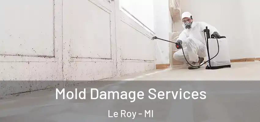 Mold Damage Services Le Roy - MI