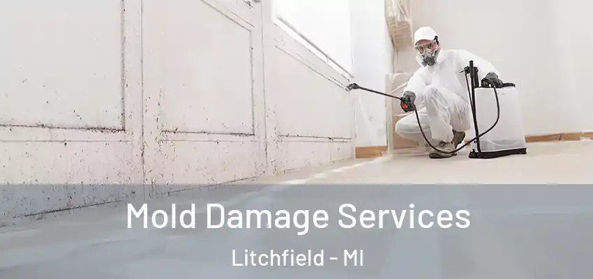 Mold Damage Services Litchfield - MI