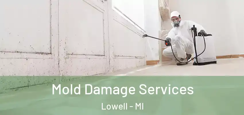  Mold Damage Services Lowell - MI