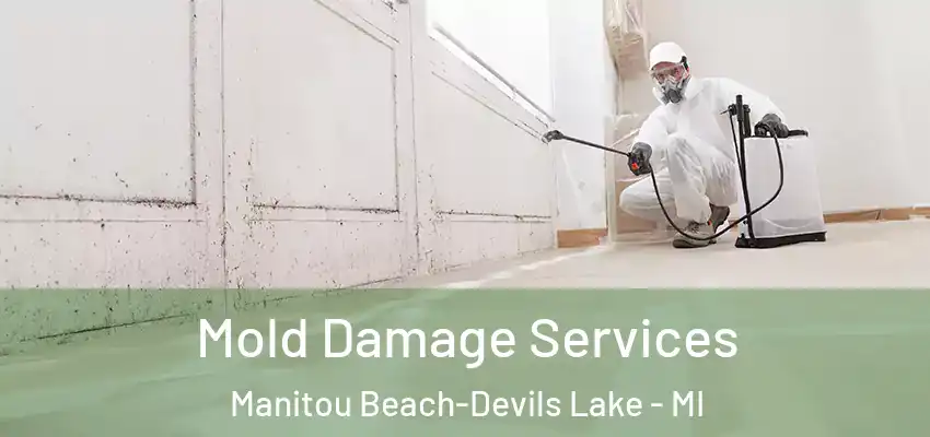  Mold Damage Services Manitou Beach-Devils Lake - MI