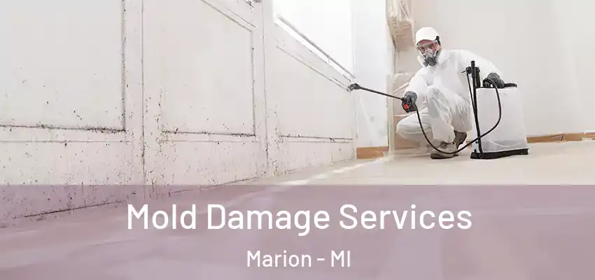  Mold Damage Services Marion - MI