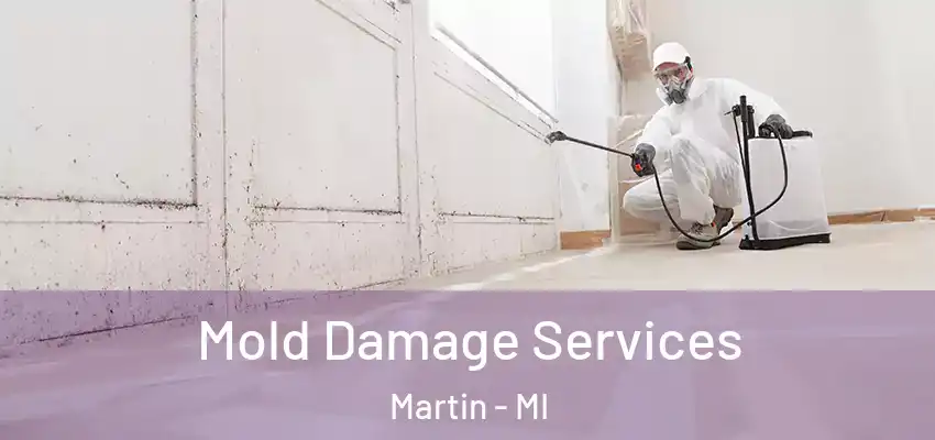  Mold Damage Services Martin - MI