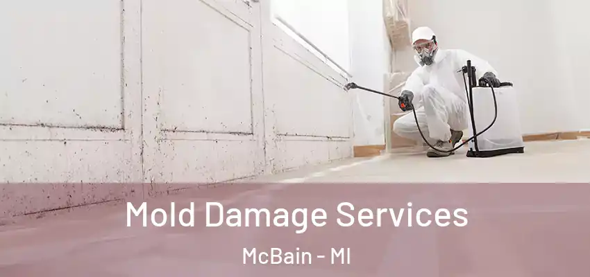  Mold Damage Services McBain - MI