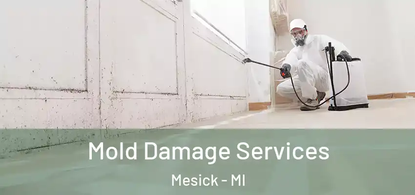  Mold Damage Services Mesick - MI