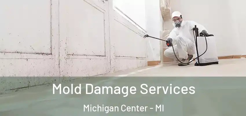 Mold Damage Services Michigan Center - MI