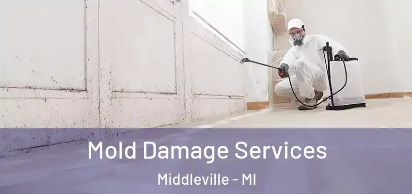 Mold Damage Services Middleville - MI