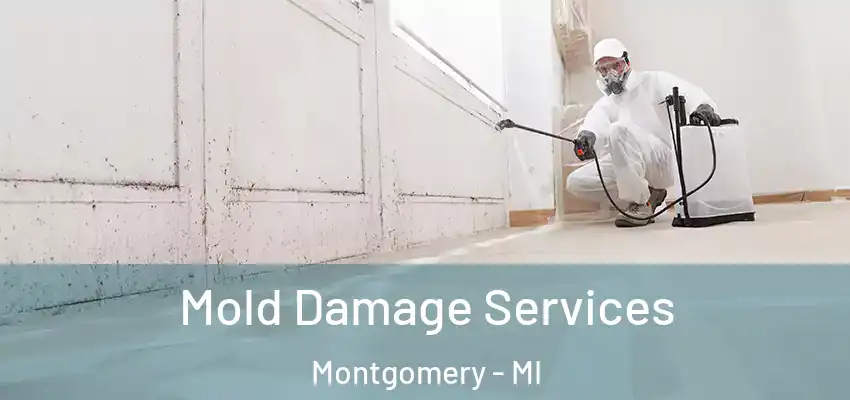  Mold Damage Services Montgomery - MI