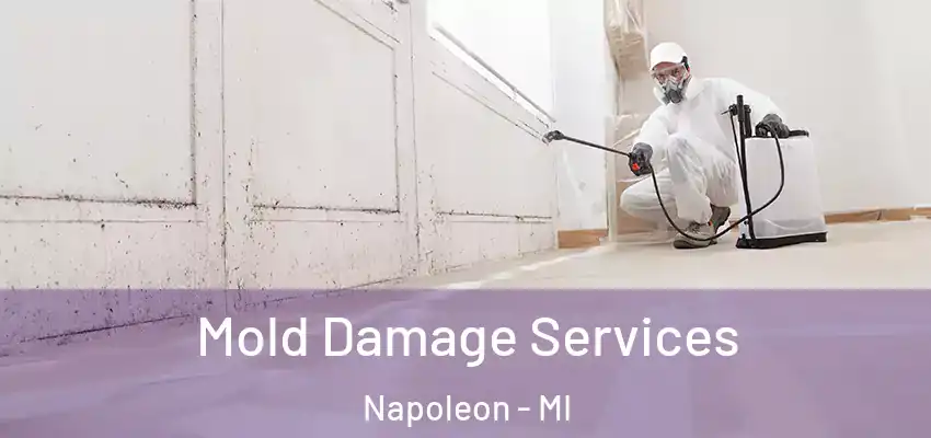 Mold Damage Services Napoleon - MI