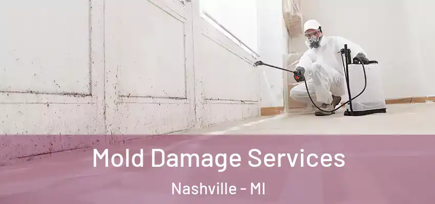 Mold Damage Services Nashville - MI