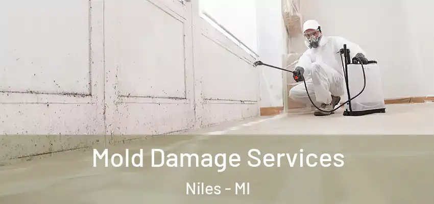  Mold Damage Services Niles - MI