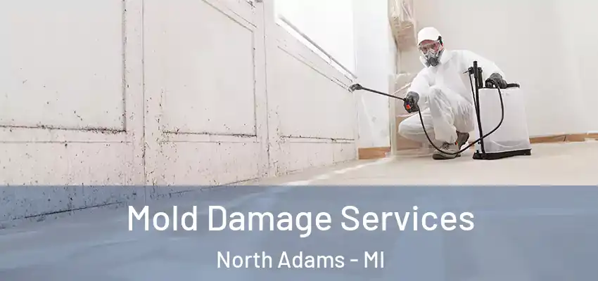  Mold Damage Services North Adams - MI