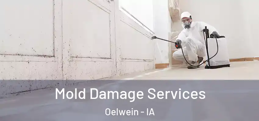  Mold Damage Services Oelwein - IA