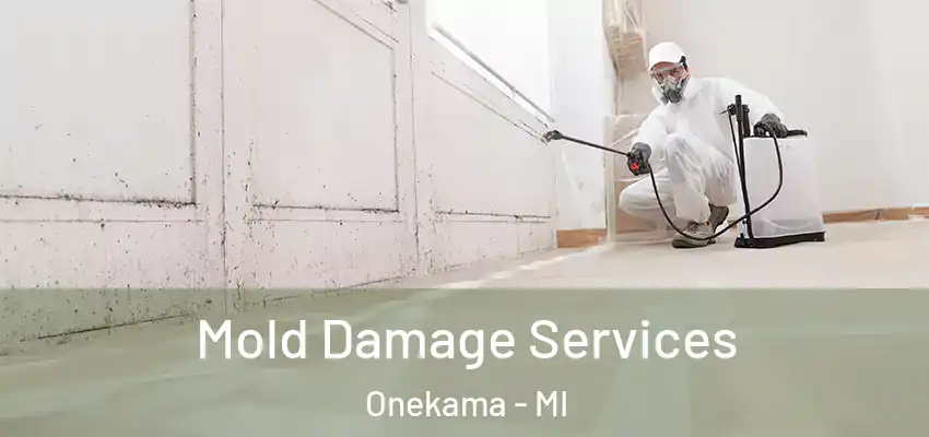  Mold Damage Services Onekama - MI