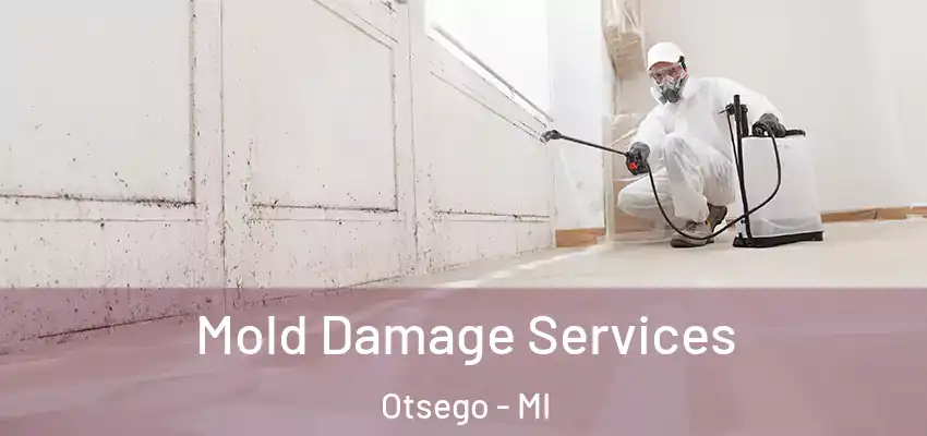 Mold Damage Services Otsego - MI