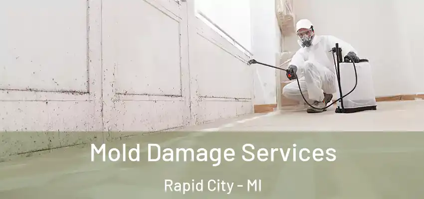 Mold Damage Services Rapid City - MI