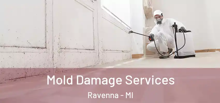 Mold Damage Services Ravenna - MI