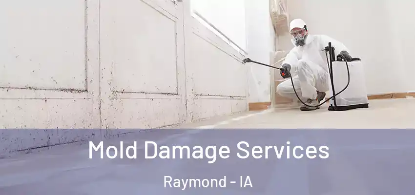  Mold Damage Services Raymond - IA