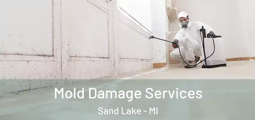 Mold Damage Services Sand Lake - MI