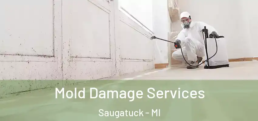  Mold Damage Services Saugatuck - MI