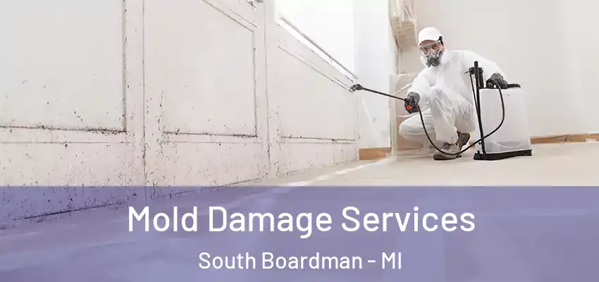 Mold Damage Services South Boardman - MI