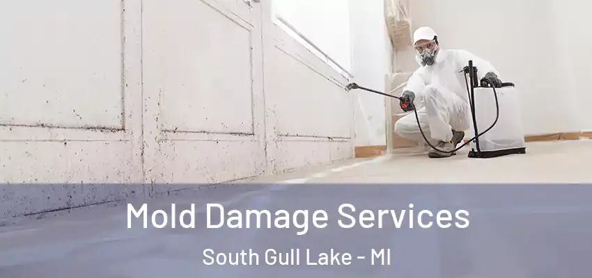  Mold Damage Services South Gull Lake - MI